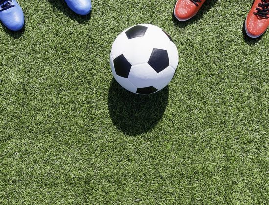 west palm beach turf for sports field