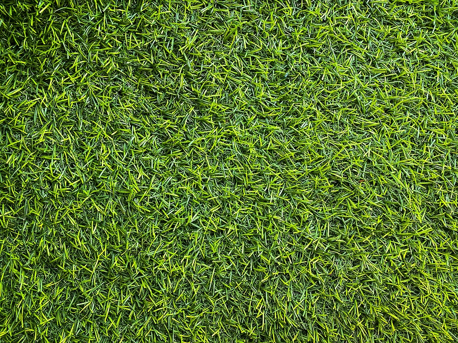 professional west palm beach turf cleaner